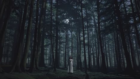 woman in a white dress in a dark forest at night