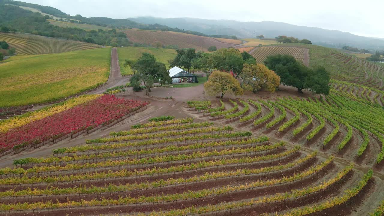 캘리포니아의 나파 포도원 행에 대한 항공 보기