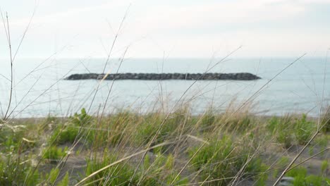 Wellen,-Die-Am-Strand-Krachen