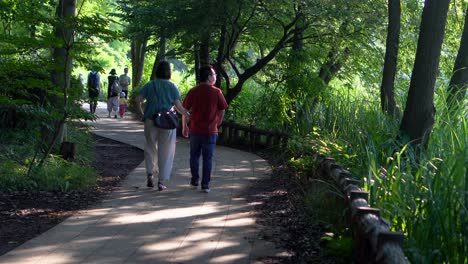 En-Verano-El-Parque-Shakujii-En-Tokio-Es-Un-Lugar-Ideal-Para-Pasear-Con-Tu-Pareja,-Por-Su-Tranquilidad-Y-Su-Clima-Fresco-Al-Atardecer