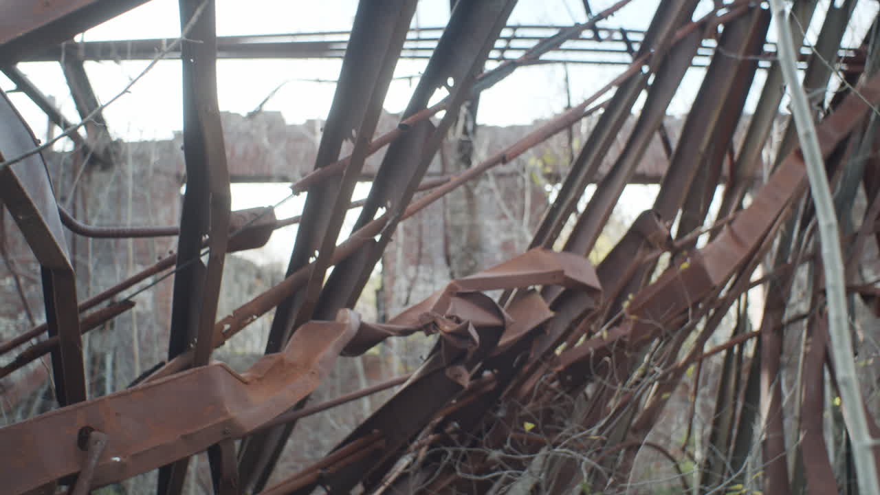 A shot of a sapling growing in a rusted wasteland