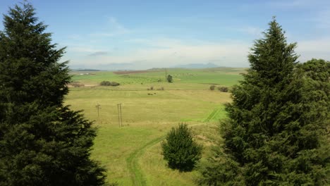 Reveal-Shot-Of-Farmland