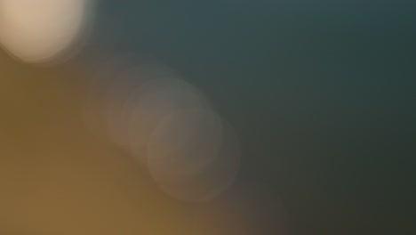 bokeh lights abstract background