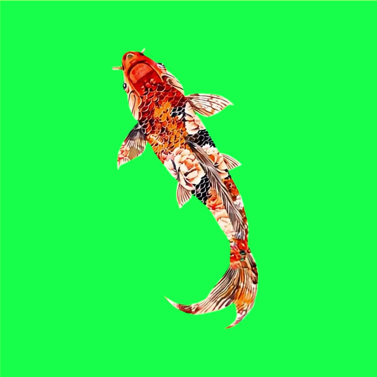 金魚 イラスト ドローイング 彫刻 インク 線画 ベクター 魚 スケッチ