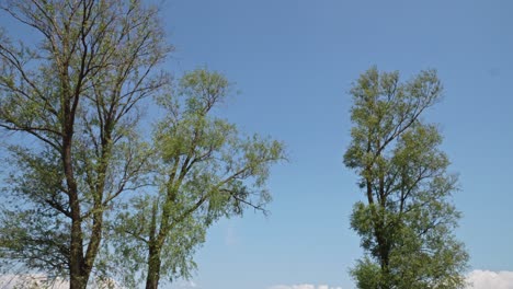 beach at lake jezioro duże żnińskie in żnin, poland