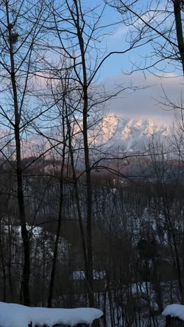 spring season of mountain forest in middle east asia iran wonderful nature peak covered snow aerial view hiking landscape tree sunrise outdoor scenery foliage peaceful wilderness summit natural beauty