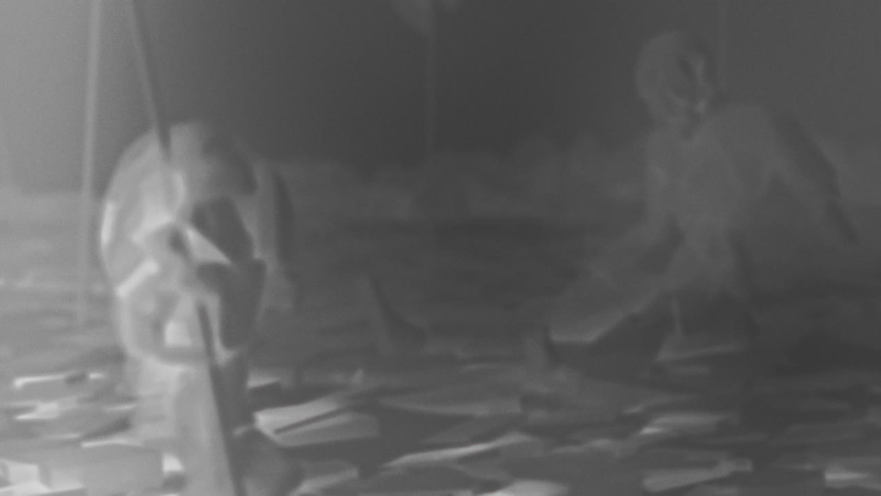 Destroyed andorids on a junkyard in xRay