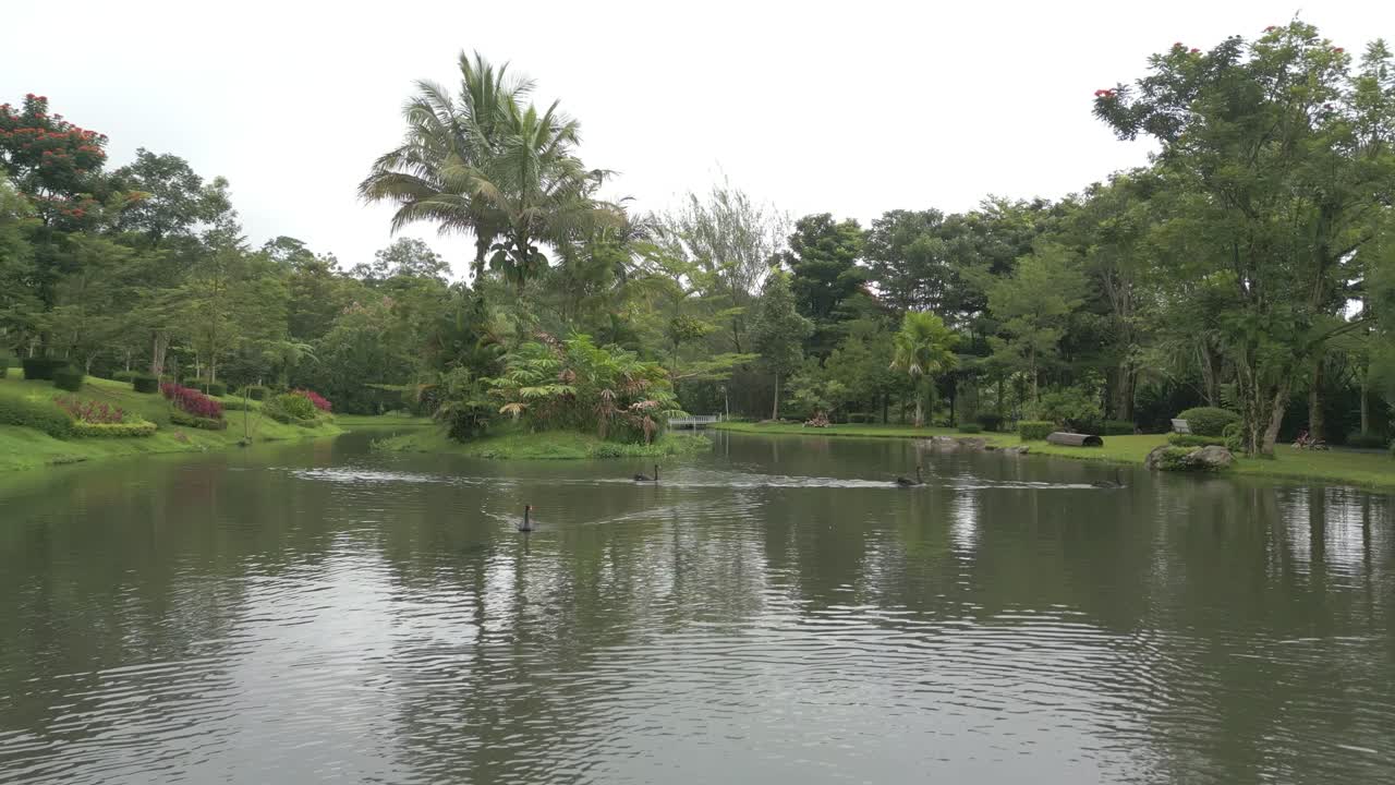 avión no tripulado volando bajo sobre un hermoso estanque de patos en un jardín en sibolangit berastagi, sumatera del norte, indonesia