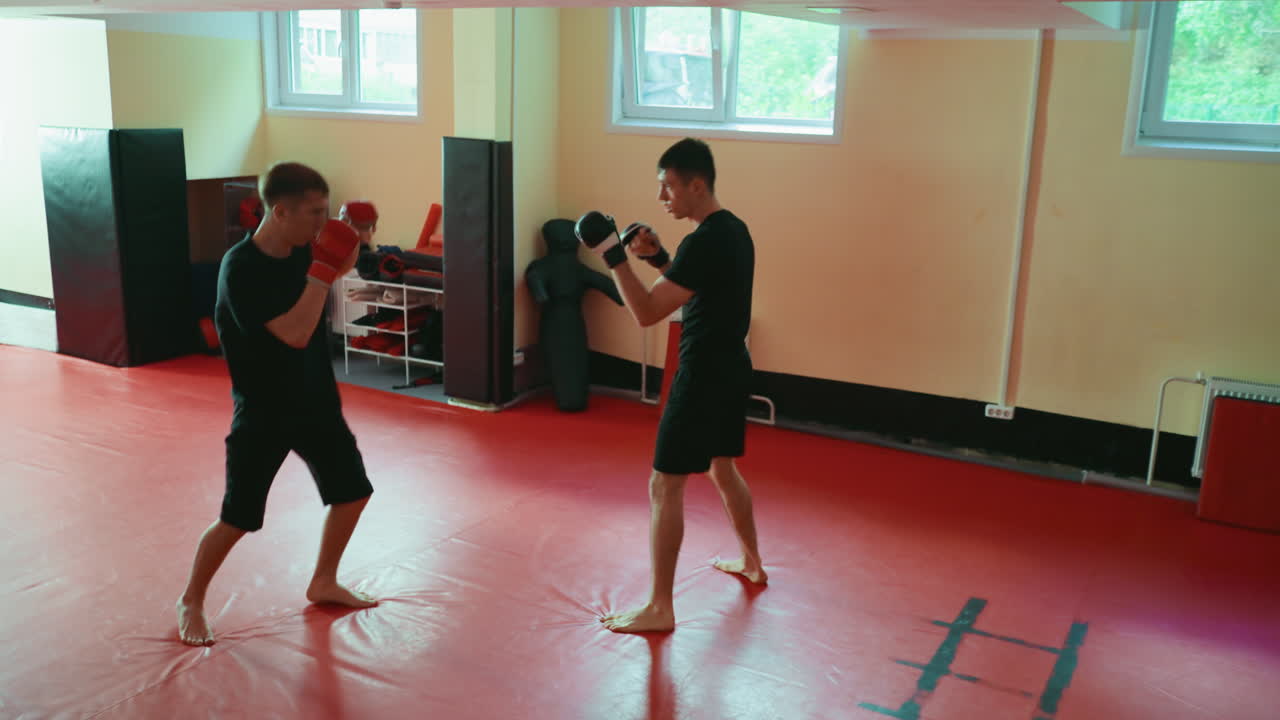 Two boxers facing each other in martial arts gym kicking and throwing punches for sparring session with gloves on red mat floor under daylight from windows