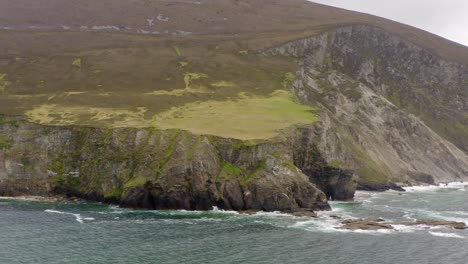 seagull soar in sky fronting emerald green grass covering eroded sea cliff of achill island ireland