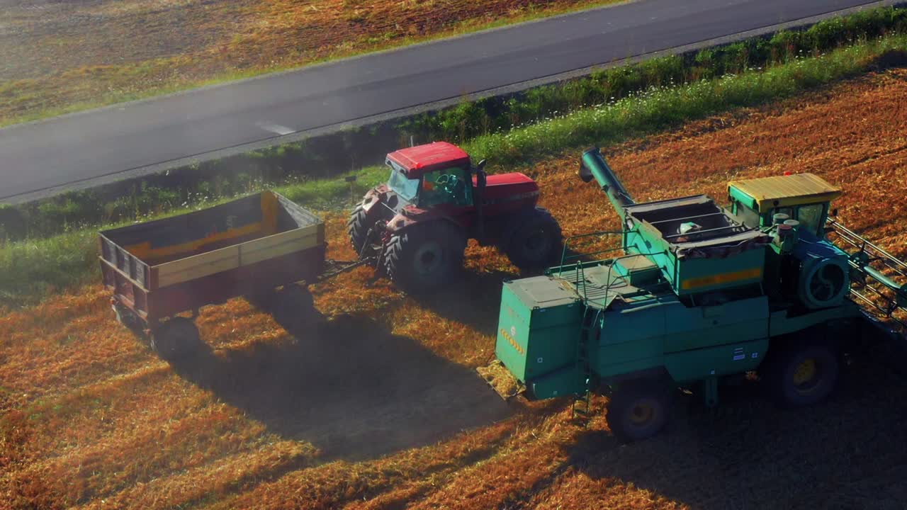 maquinaria agrícola en el campo de trigo en verano - la cosechadora cargará el camión con grano cosechado - disparo de drones