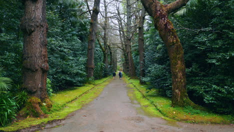 dos personas caminando por el sendero del bosque en un día sombrío. siluetas cruzando el camino salvaje