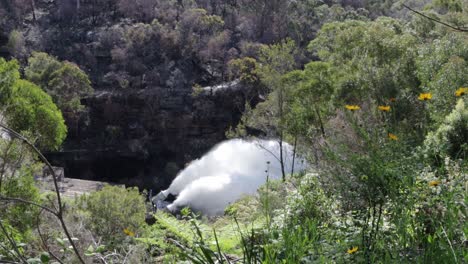 the cataracta dam near sydney