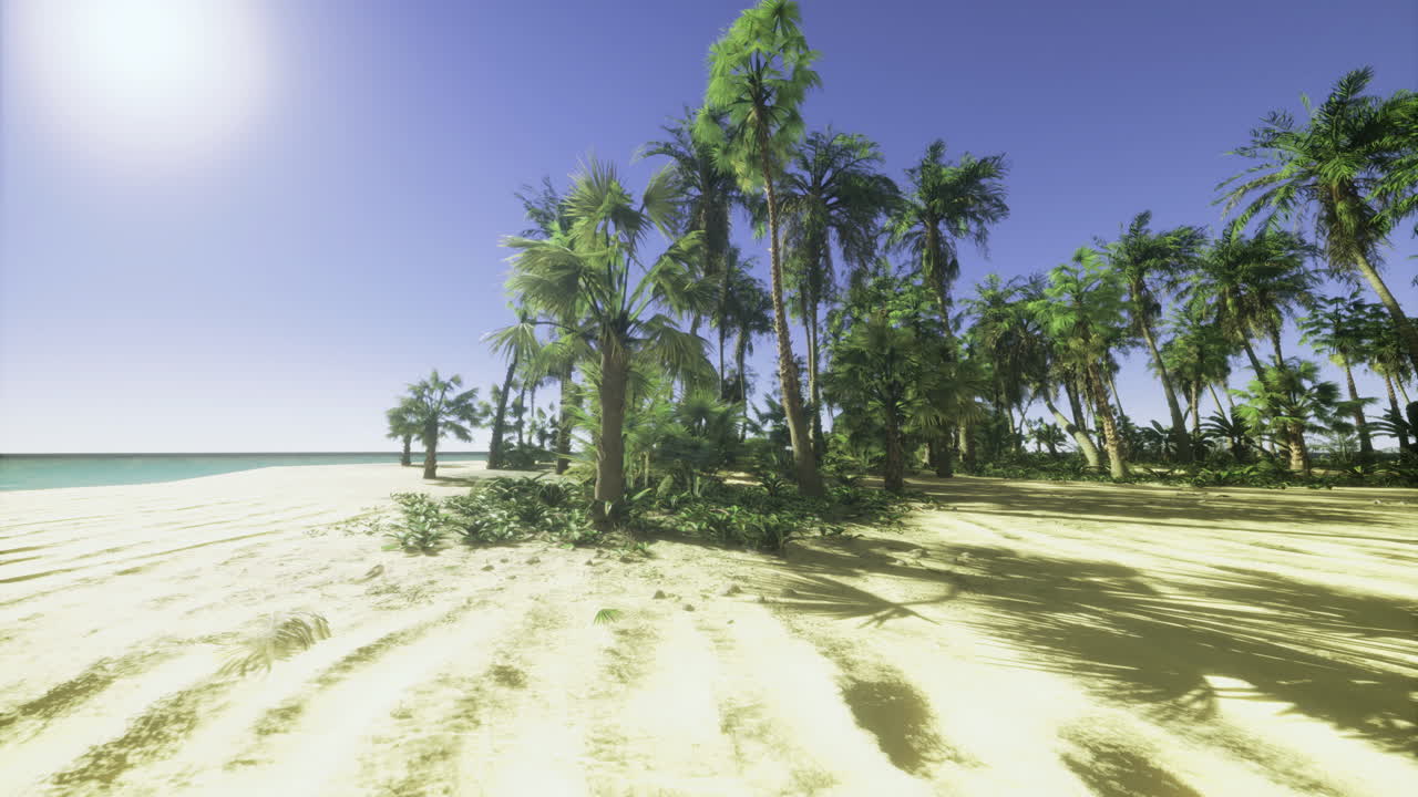 Sunny beach with palm trees and clear blue sky in tropical paradise setting