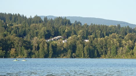 Port-moody-homes-in-forest,-false-creek-and-kayakers-4k,-60fps