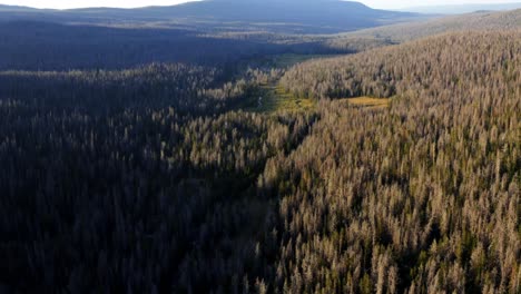 stunning aerial drone landscape nature view of the high uinta national forest with meadows, rivers, and pine trees up at the lower red castle lake trail between utah and wyoming on a warm summer day