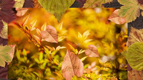 animación de hojas que caen sobre el paisaje de otoño