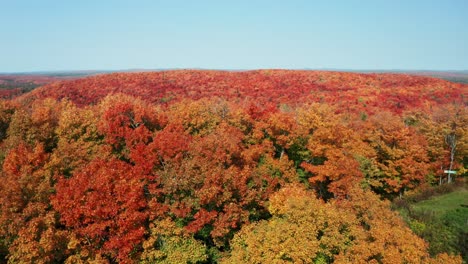 aerial ascending view of colorful forest with changing leaves in autumn extending onto rolling hills in the distance