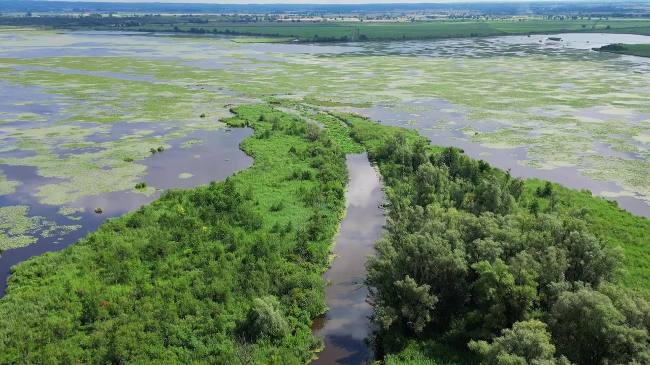 Veduta aerea di un fiume in piena che straripa nel paesaggio naturale