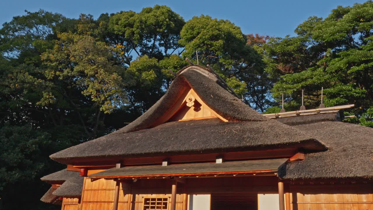 Close-up of a traditional Japanese building with a distinctive thatched roof, surrounded by lush green foliage. Historic craftsmanship.