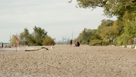 Toronto-Beaches,-city-backdrop-with-people-walking-dogs