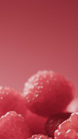 Micro vertical video close up of raspberries and copy space on red background