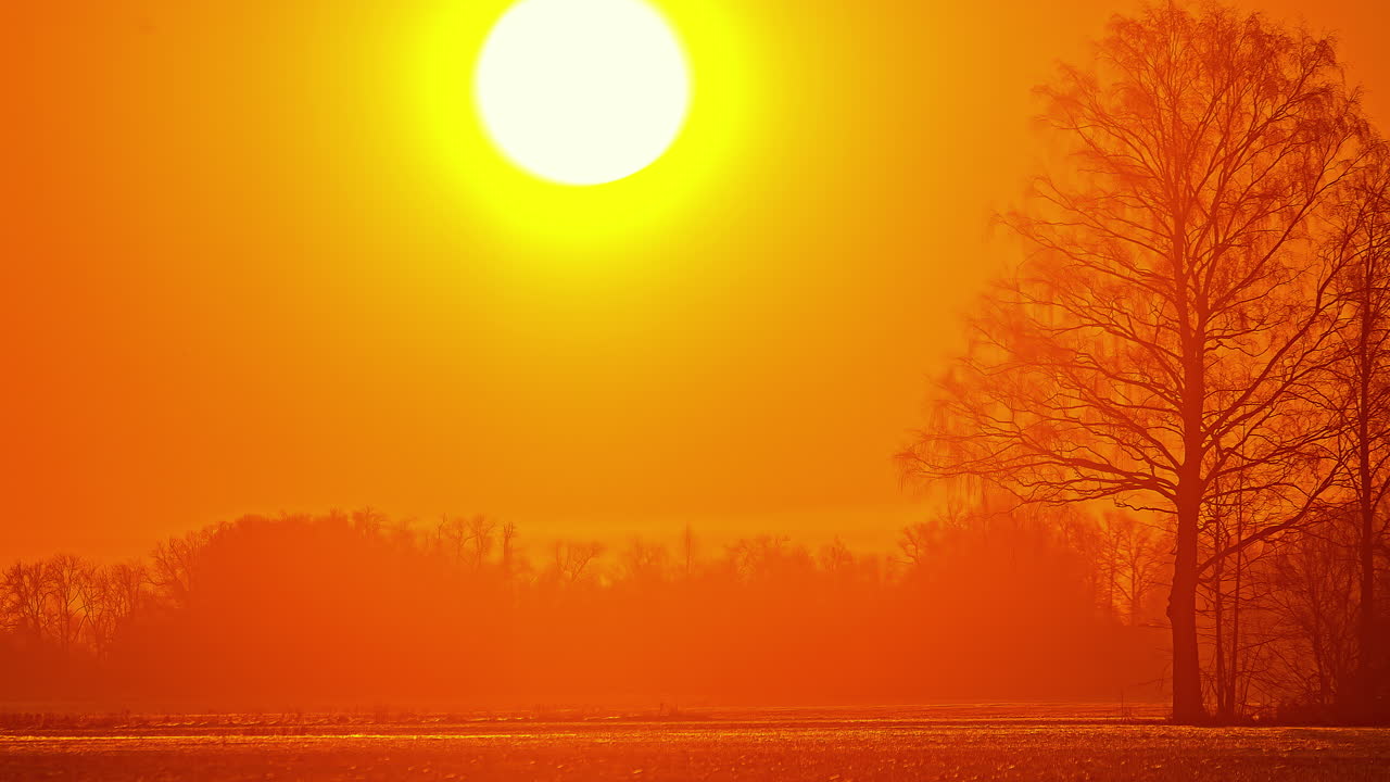 timelapse cinematográfico del amanecer con luz naranja y árboles de abeto en el horizonte