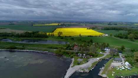 Bright-Yellow-Field-Of-Rapeseed-Flower-Near-The-Horte-Harbour-In-Swedish-County-Of-Skane