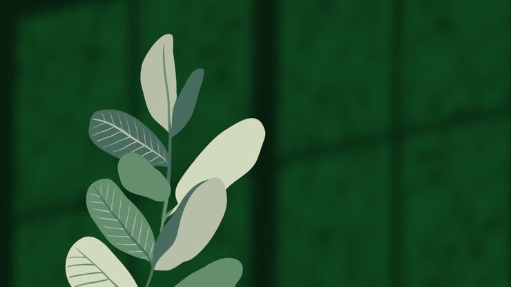 Animation of plants over leaves and window shadow on green background
