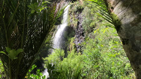 vista lateral de una cascada cerca de auckland en nueva zelanda