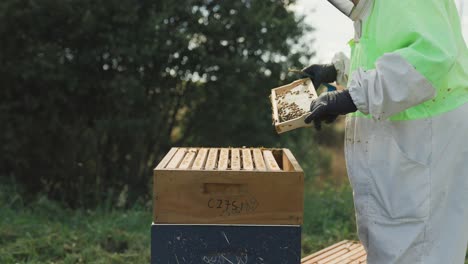 Imker-Im-Schutzanzug,-Der-Honigrahmen-Vom-Langstroth-bienenstock-Inspiziert