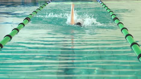 fit swimmer doing the front stroke in the swimming pool