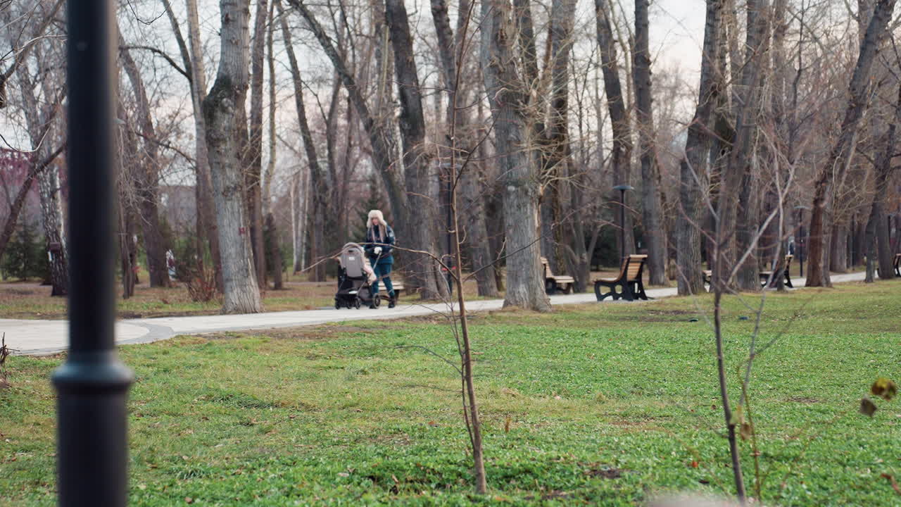 Woman pushes baby stroller along paved path through quiet open park surrounded by winter trees, empty benches, and scattered branches, creating calm serene atmosphere of seasonal transition
