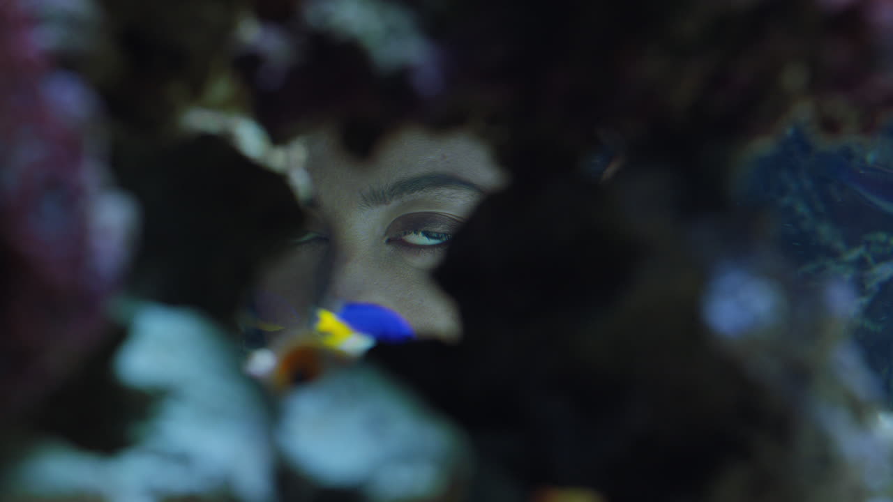 mujer mirando peces tropicales en el tanque del acuario viendo la colorida vida marina nadando en el arrecife de coral observando el ecosistema marino
