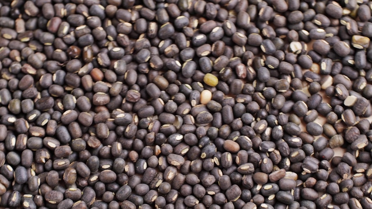 Close-up of Raw Black Gram Lentils (Urad Dal)