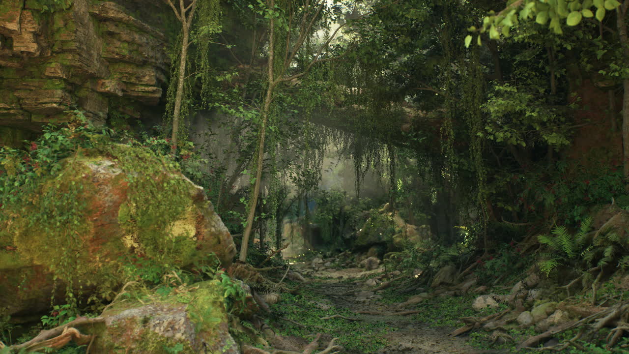 camino a través de la pintura del bosque