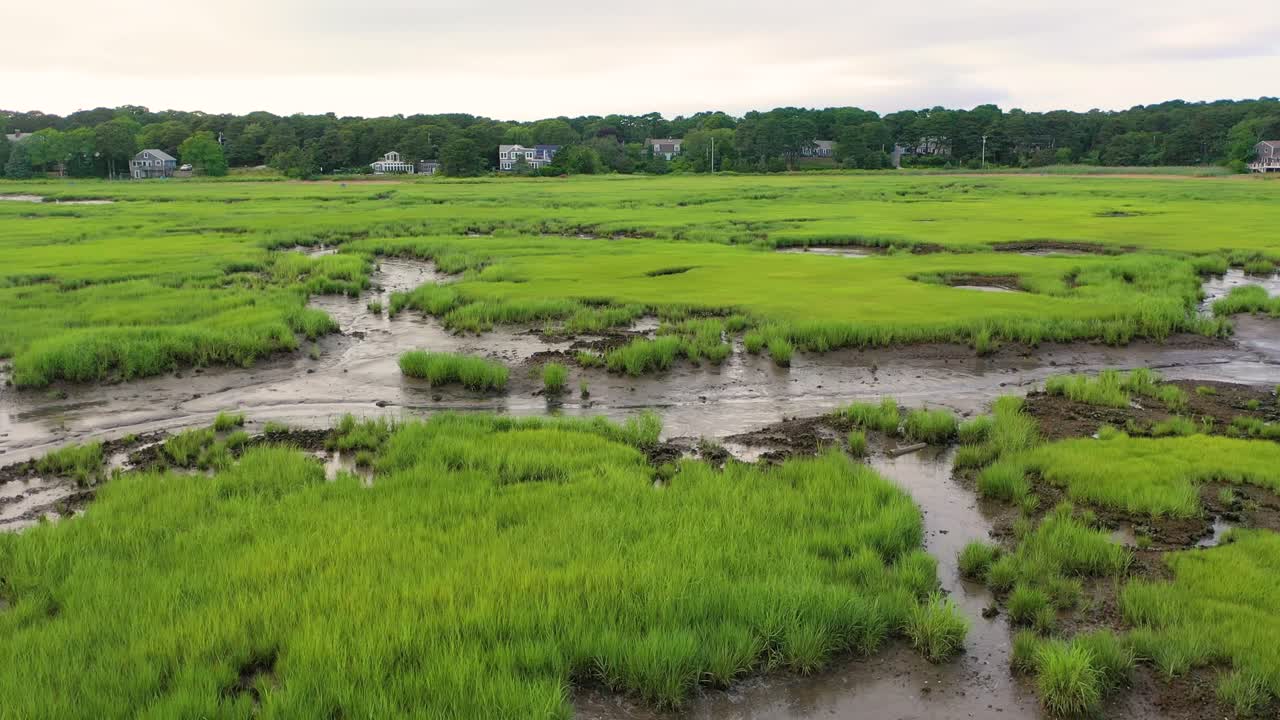 Dronebillede i fugleperspektiv af Gloucester marsken fremhæver tidevandsflader, saltvandskanaler og grønne enge, der strækker sig mod den skovklædte horisont og skaber en levende kystscene fyldt med tekstur
