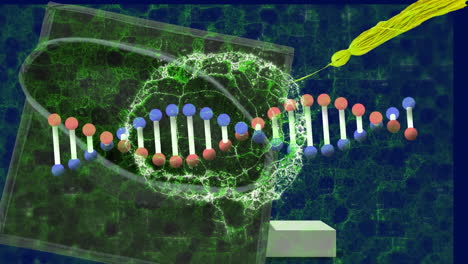 animación de la cadena de adn y el cerebro digital sobre la tapa de graduación en fondo azul