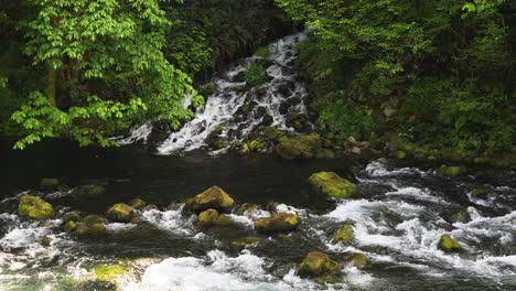 scenic view of fresh water flowing through mountain creek on springtime