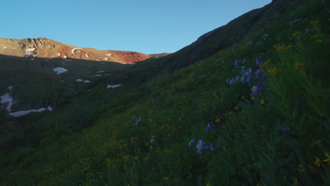 cinematic colorado summer columbine colorful wildflower last sunset golden hour light ice lake basin silverton telluride ouray trailhead top of snow melted peak rocky mountains valley stunning view