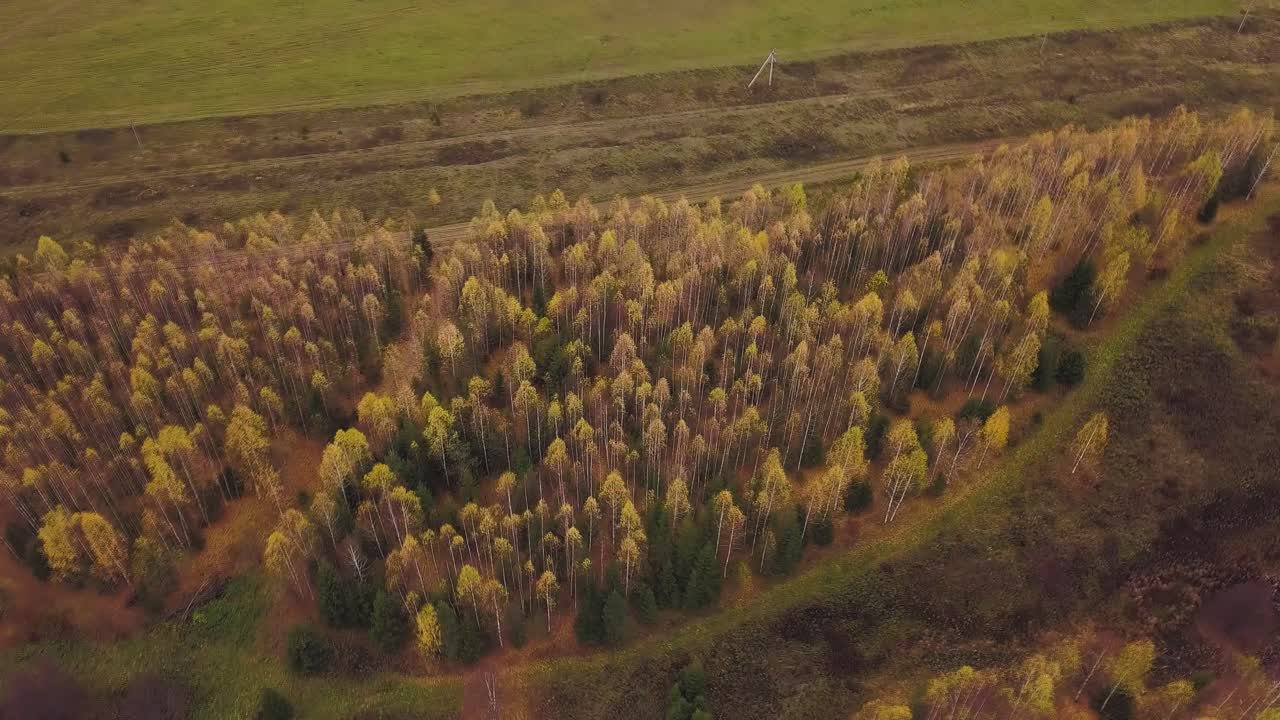 vista aérea del bosque de otoño