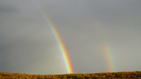 arco iris en el cielo después de la lluvia sobre el bosque.