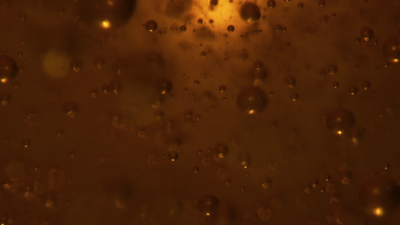 cerveza hopsy espumando vidrio de primer plano. bebida intoxicante chisporroteando en un recipiente transparente