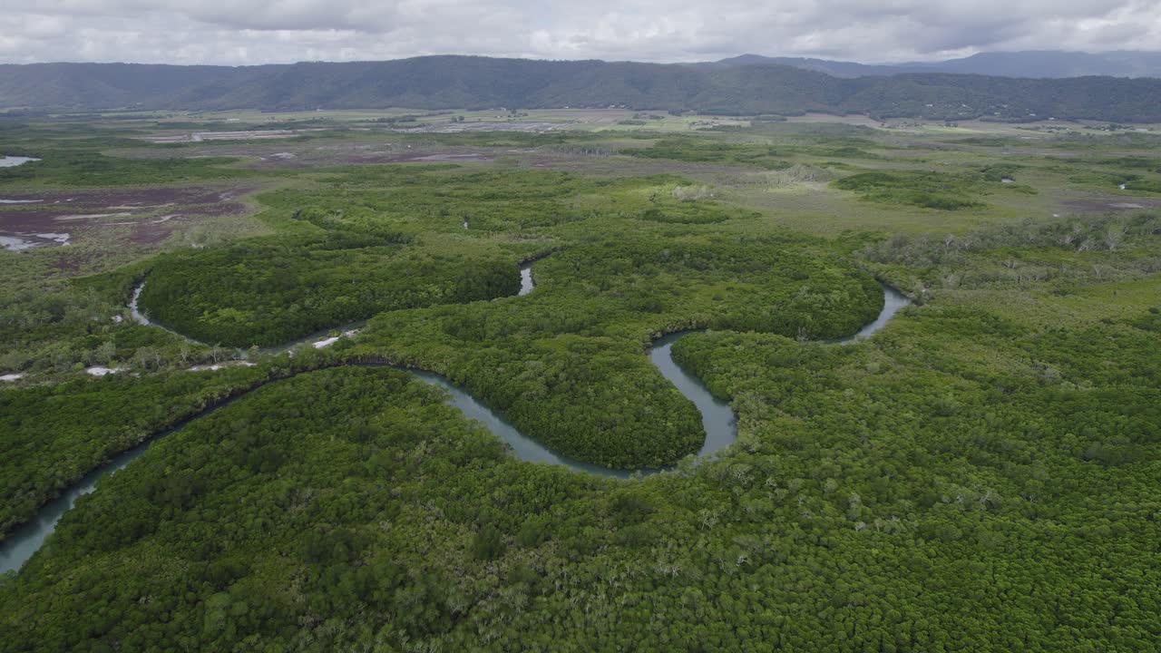exuberante vegetación alrededor del río sinuoso en el norte de queensland, australia