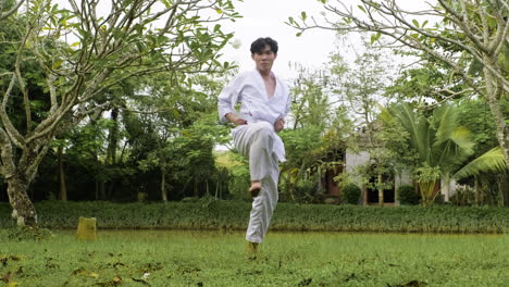 young man practising taekwondo