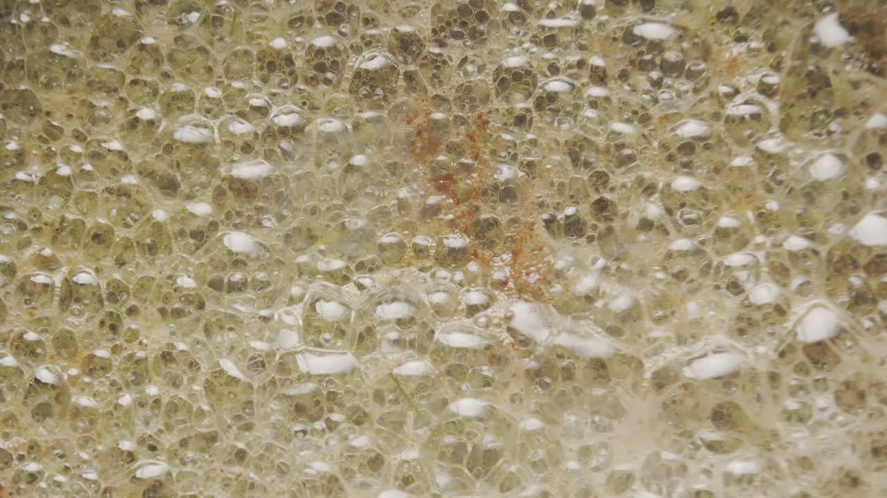 primer plano de las flores comestibles cocinando