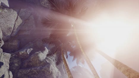 luz del sol dentro de una cueva misteriosa