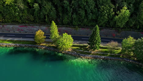 Flying-along-the-shore-of-lake-capturing-a-narrow-road-with-trees-and-plants-standing-on-both-the-sides