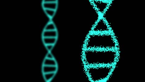 2d animation of two dna composed of particles on a black background. 60fps. the object is vertical. the focus is on the front.