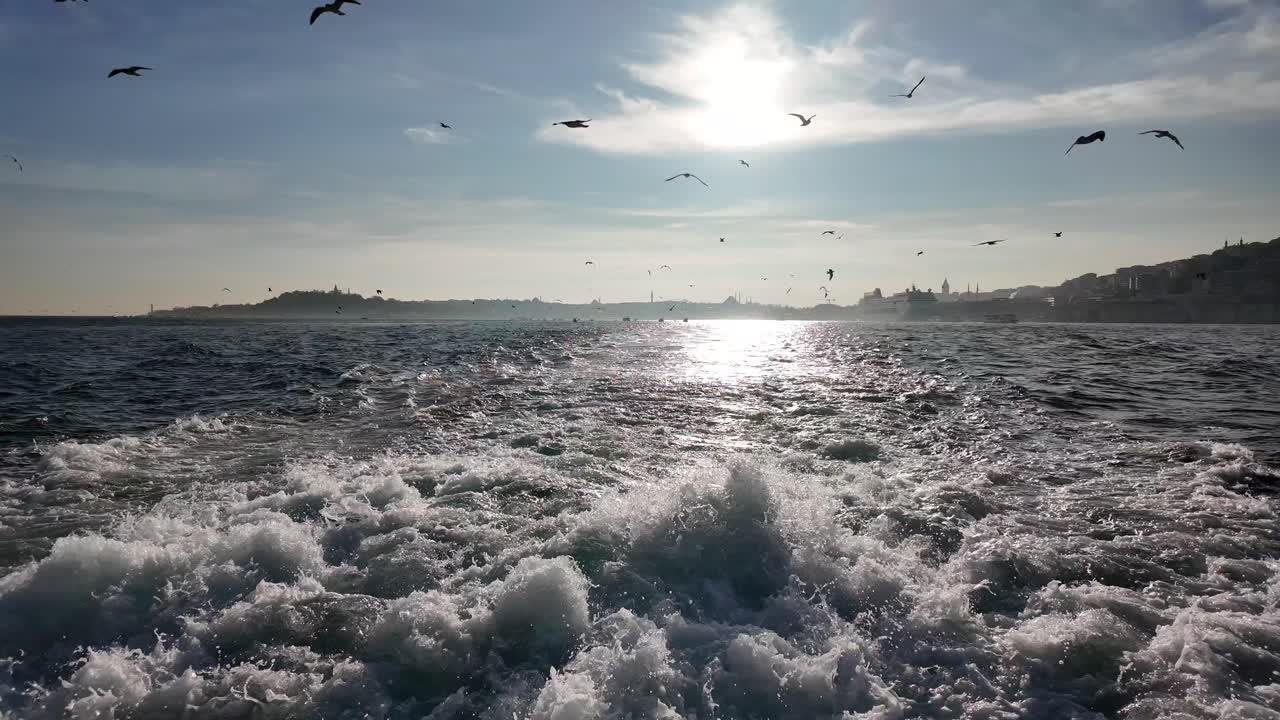 Istanbul Bosphorus View with Gulls